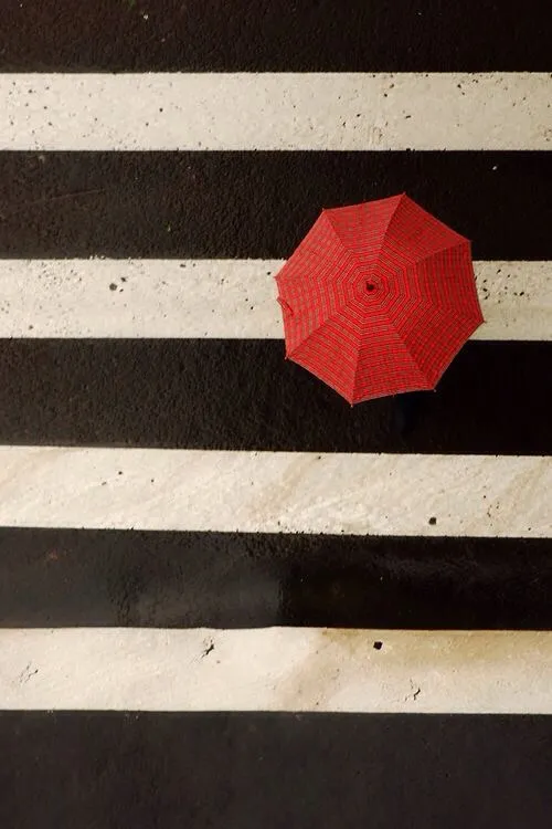 daffndill | Werbeagentur | Bildmotiv 34